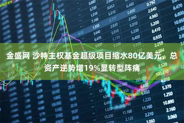 金盛网 沙特主权基金超级项目缩水80亿美元，总资产逆势增19%显转型阵痛